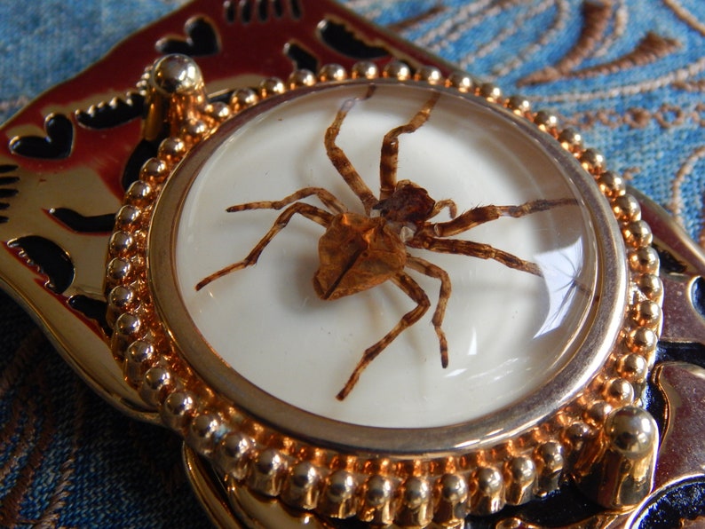 New Ghost Spider Belt Buckle Gold Coloured Metal Ladies Men Western Goth image 2