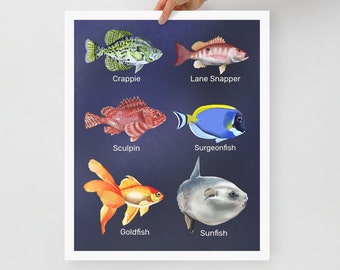 Framed Fish Illustration: Realistic Marine Art Print for Kids
