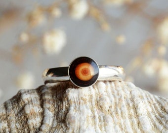 Natural larch wood ring - Minimal sterling silver ring - Nature jewelry for forest lover - Woodland forest gift idea