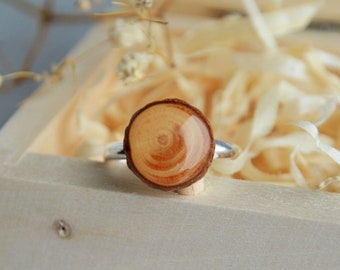 Spruce wood ring made from sterling silver and natural tree branch slices, Woodland piece of nature jewellery, Wooden gift for her