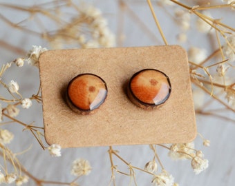 Reclaimed wood earrings - Forest wooden ear studs for nature lover - Earthy natural rustic jewelry made from recycled tree