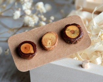 Raw wooden earrings - Single set of 3 wood studs with sterling silver posts - Natural wood ear studs - Mens woodland jewelry - Rustic style