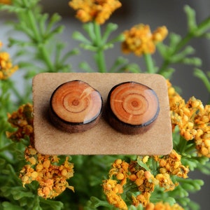 Wooden ear studs