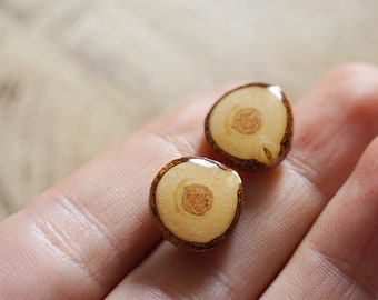 Wooden stud earrings, Natural woodsy forest jewelry with gift box, Woodland gifts for nature lovers