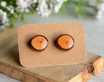 Unisex wood ear studs made of reclaimed timber, reclaimed twig earrings, woodland gift, nature lovers woody stocking stuffer