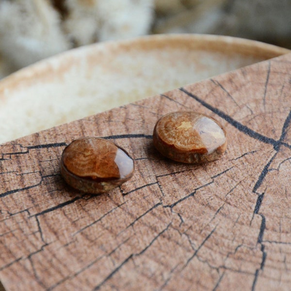 Oak wood stud earrings, Wooden ear studs, Rustic earrings with sterling silver posts, Reclaimed wood forest studs