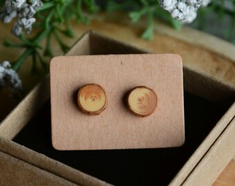 Minimal raw wood earrings, Small wooden studs with sterling silver posts, Earth friendly jewelry made by MyPieceOfWood