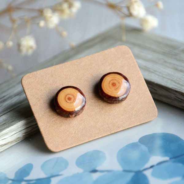 Natural minimalist wooden earrings with tree bark - Wood and silver jewelry gift for forest lovers - Woodland forest ear studs