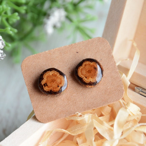 Oak wood earrings, Simple wooden ear studs, Natural forest jewelry, Brown stud earrings, Organic jewelry
