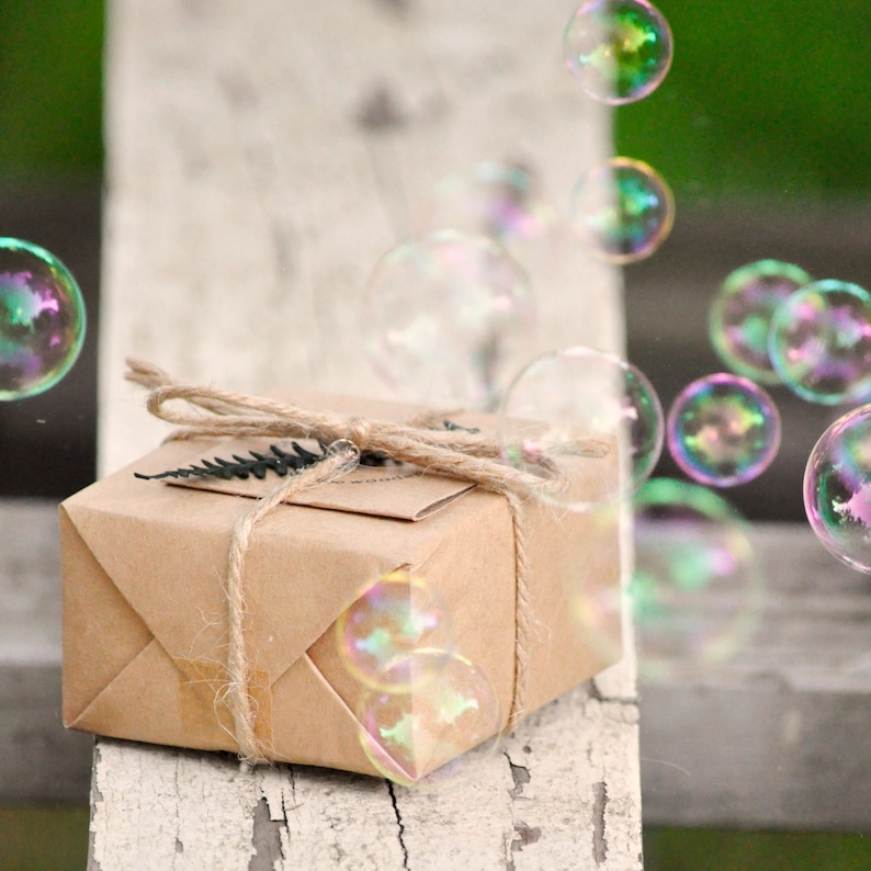 May include: A brown paper gift box tied with twine and decorated with a small green fern. The box is surrounded by iridescent soap bubbles.