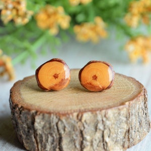 Earthy wooden ear studs, Natural woodland jewelry made of reclaimed wood and silver, Eco gift idea image 1