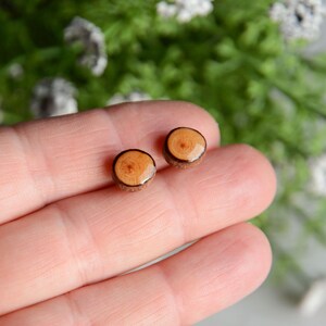 Unisex wood ear studs made of reclaimed timber, reclaimed twig earrings, woodland gift, nature lovers woody stocking stuffer image 4