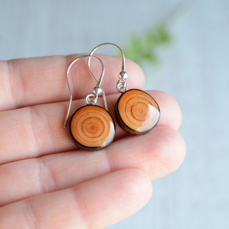 ecofriendly OOAK earrings natural earth tones jewelry handmade from reclaimed wood Minimalist wooden dangle earrings with silver
