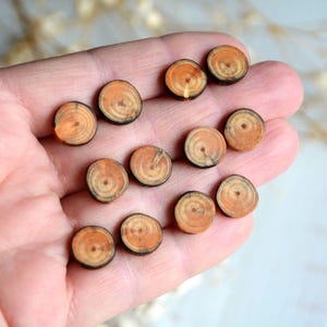 May include: A collection of small, round wooden earrings with a natural wood grain pattern. The earrings are a light brown color with darker brown rings.