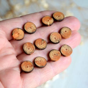 May include: A collection of small, round wooden slices with natural wood grain and orange-brown hues. The slices are arranged in a hand, showcasing their unique shapes and textures.