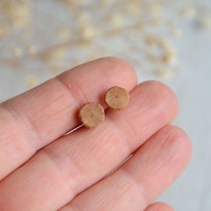 K&ouml;nnte beinhalten: Ein Paar kleine, runde Holzstecker-Ohrringe. Jeder Ohrring hat eine hellbraune Farbe mit einem sichtbaren Holzmaserungsmuster. Die Ohrringe werden auf einem hellen Hintergrund pr&auml;sentiert.