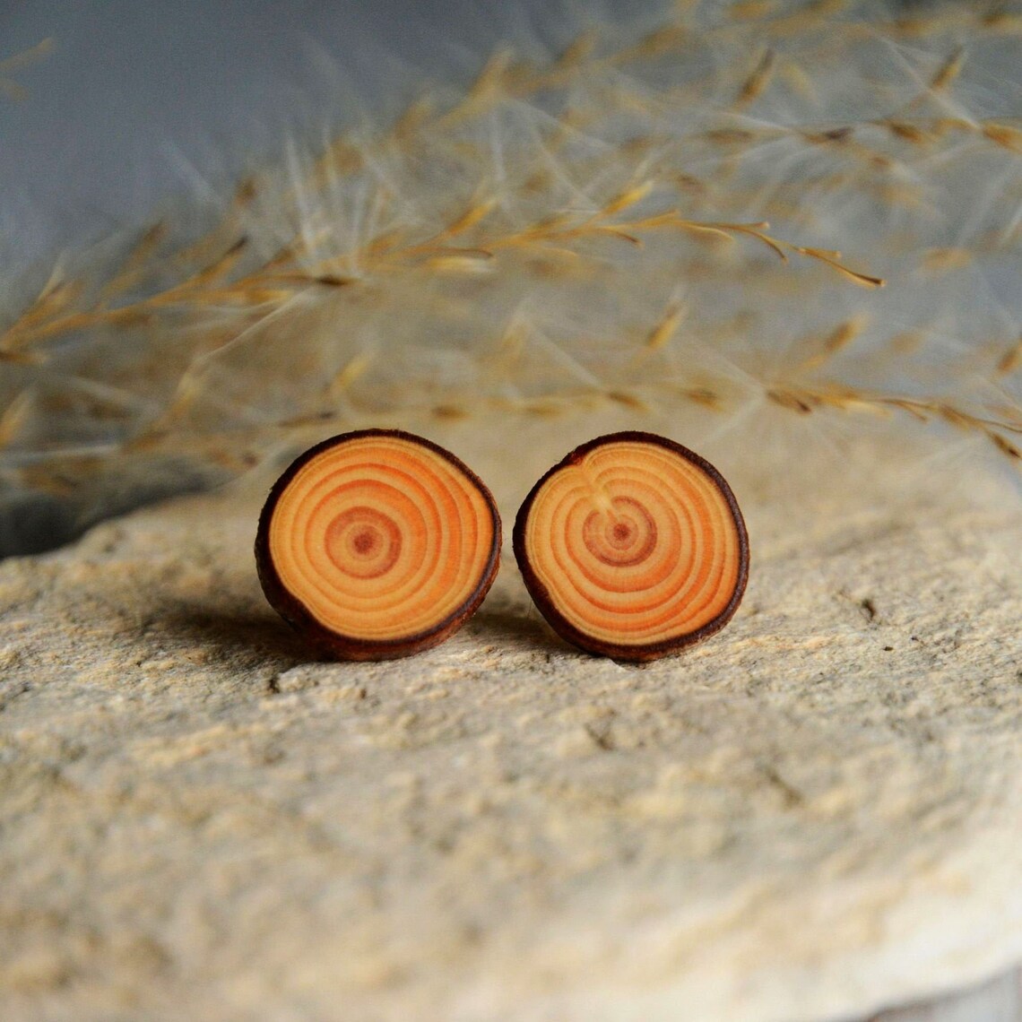 Large Wooden Stud Earrings Made of Reclaimed Larch Tree Etsy