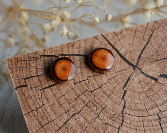 Wooden ear studs with rings, Woodland jewelry, Natural wood jewellery in gift box, Forest gifts, Festival fashion