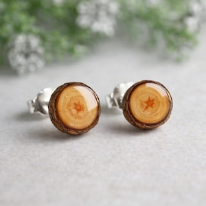 Tiny wooden ear studs, Miniature twig earrings, Everyday studs