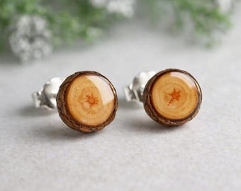 Winzige Holz Ohrstecker, Miniatur Zweig Ohrringe, Alltag Ohrstecker