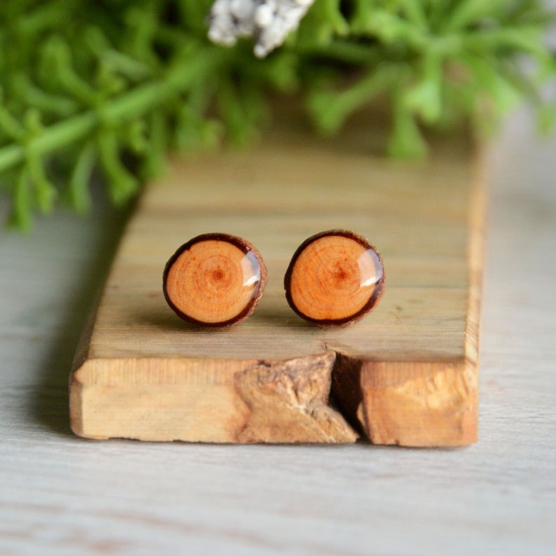Unisex wood ear studs made of reclaimed timber, reclaimed twig earrings, woodland gift, nature lovers woody stocking stuffer image 2