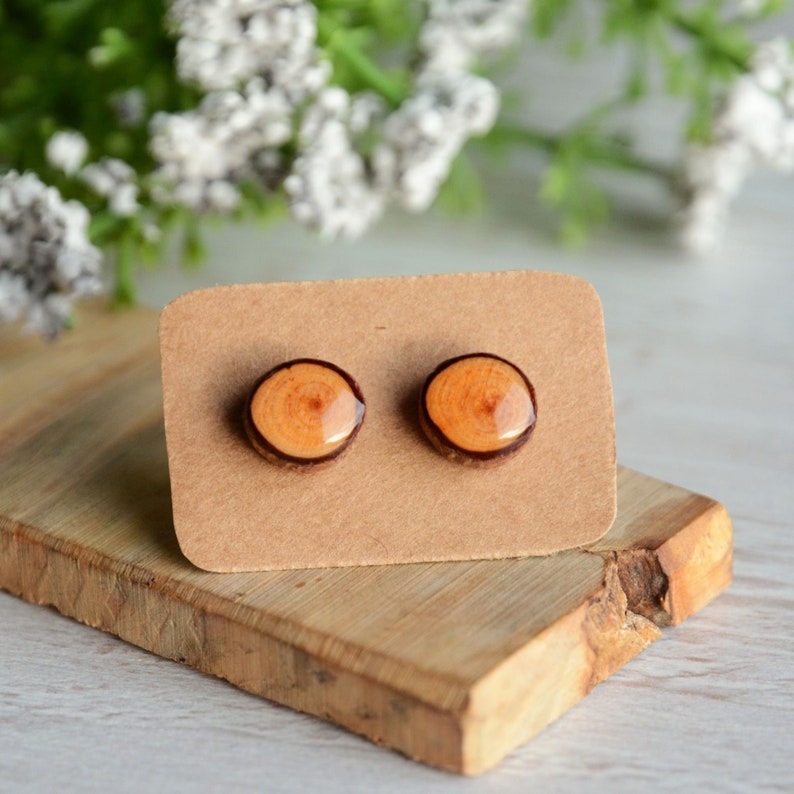 Unisex wood ear studs made of reclaimed timber, reclaimed twig earrings, woodland gift, nature lovers woody stocking stuffer image 1