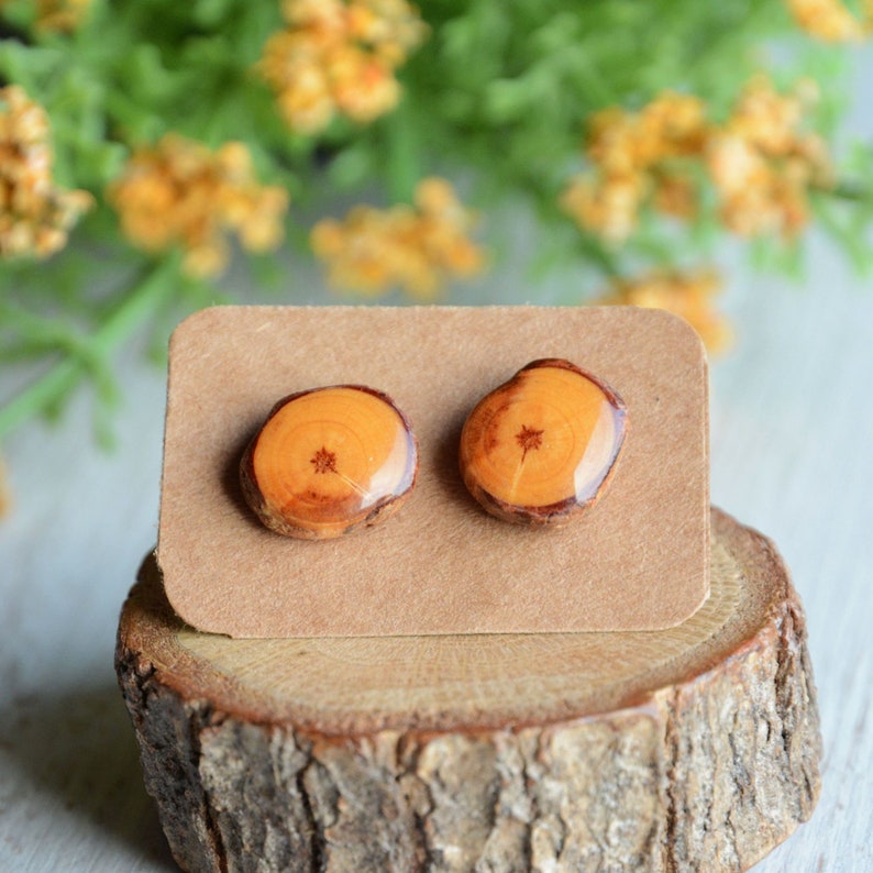 Earthy wooden ear studs, Natural woodland jewelry made of reclaimed wood and silver, Eco gift idea image 2