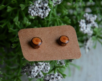 Tiny stud earrings with sterling silver posts, Wood stud earrings, Organic jewelry, natural gift for her, Small dot studs, Wood earing