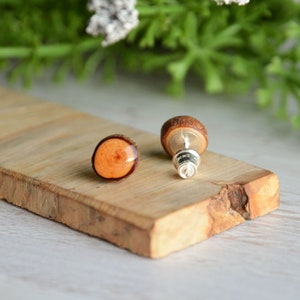 Unisex wood ear studs made of reclaimed timber, reclaimed twig earrings, woodland gift, nature lovers woody stocking stuffer image 3