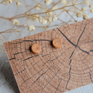 K&ouml;nnte beinhalten: Zwei kleine, runde Holzstecker-Ohrringe. Die Ohrringe sind hellbraun und liegen auf einer Oberfl&auml;che mit Holzmaserung. Der Hintergrund umfasst getrocknete Blumen.