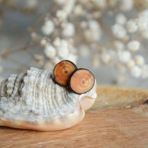 May include: A pair of wooden earrings with a natural wood grain pattern. The earrings are round and have a dark brown outer edge with a lighter brown center.