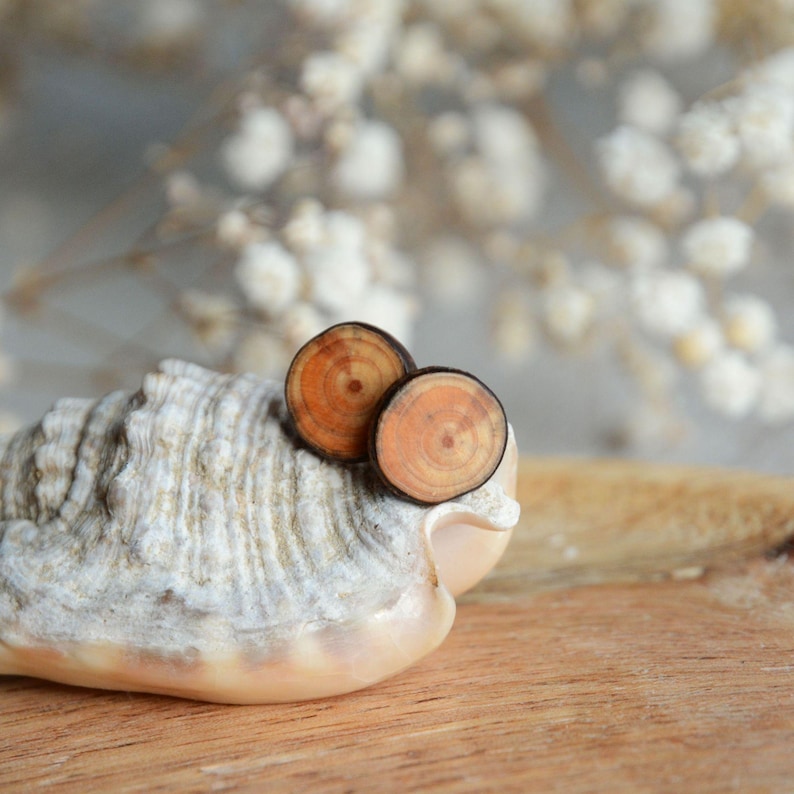 May include: A pair of wooden earrings with a natural wood grain pattern. The earrings are round and have a dark brown outer edge with a lighter brown center.