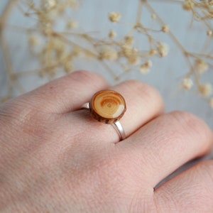 Spruce wood ring made from sterling silver and natural tree branch slices, Woodland piece of nature jewellery, Wooden gift for her