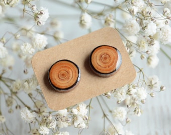 Larch wood earrings inspired by nature jewelry, Unisex ear studs, Ecofriendly wooden jewelry for forest lovers