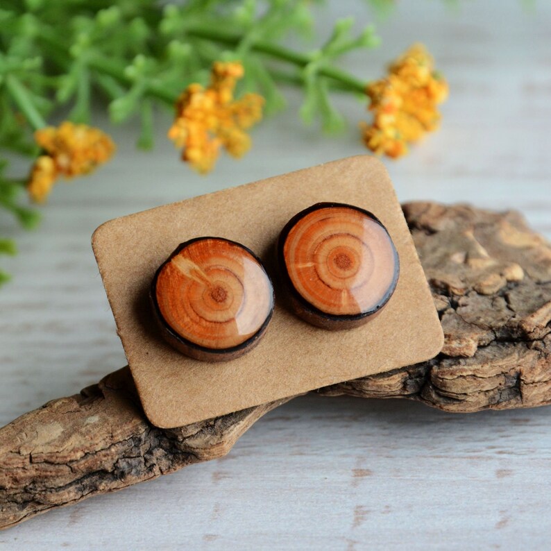 Wood Earclips main image 0