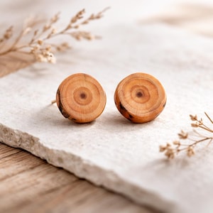 Minimalistic earthy earrings, Organic wood stud earring, Raw wooden studs, Natural wood jewelry made by nature, Rustic mens earrings