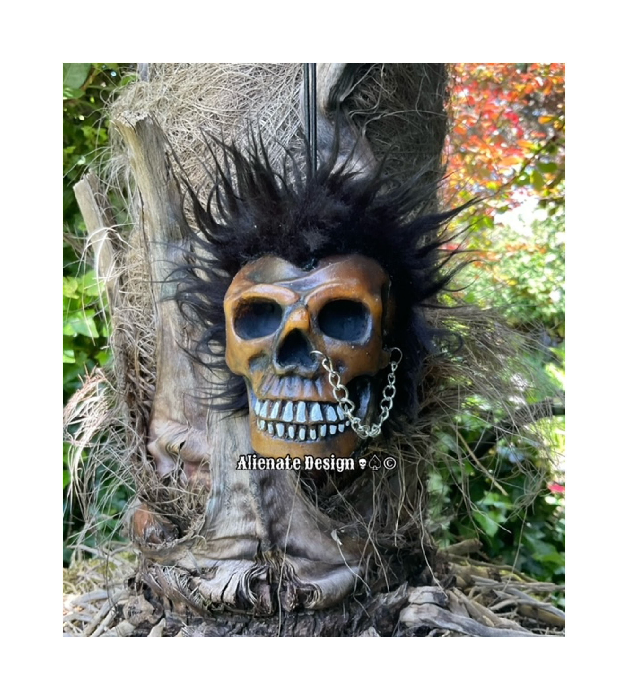 MINI SHRUNKEN SKULL Hanger -  Shrunken Head