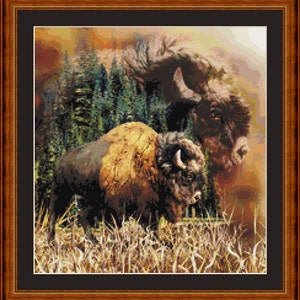 Può includere: Un bisonte marrone e nero in piedi in un campo di erba alta. Il bisonte guarda a destra e le sue corna sono visibili. Lo sfondo è un'immagine sfocata di alberi e un tramonto.