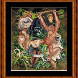 May include: A colorful illustration of a group of monkeys in a jungle setting. The monkeys are of different species and sizes, and they are all looking at the viewer. The background is a lush green jungle with vines and leaves.