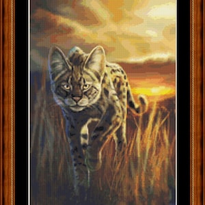 May include: A close-up of a small wild cat with a spotted coat, looking directly at the viewer. The cat is standing on a grassy hill with a sunset in the background.