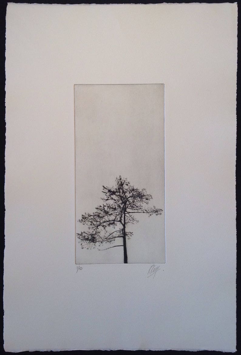 Tree Silhouette, A drypoint etching of a tree image 5