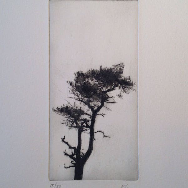 Tree 1 - Tree Etching - Tree Silhouette - Tree Print - Japanese Tree