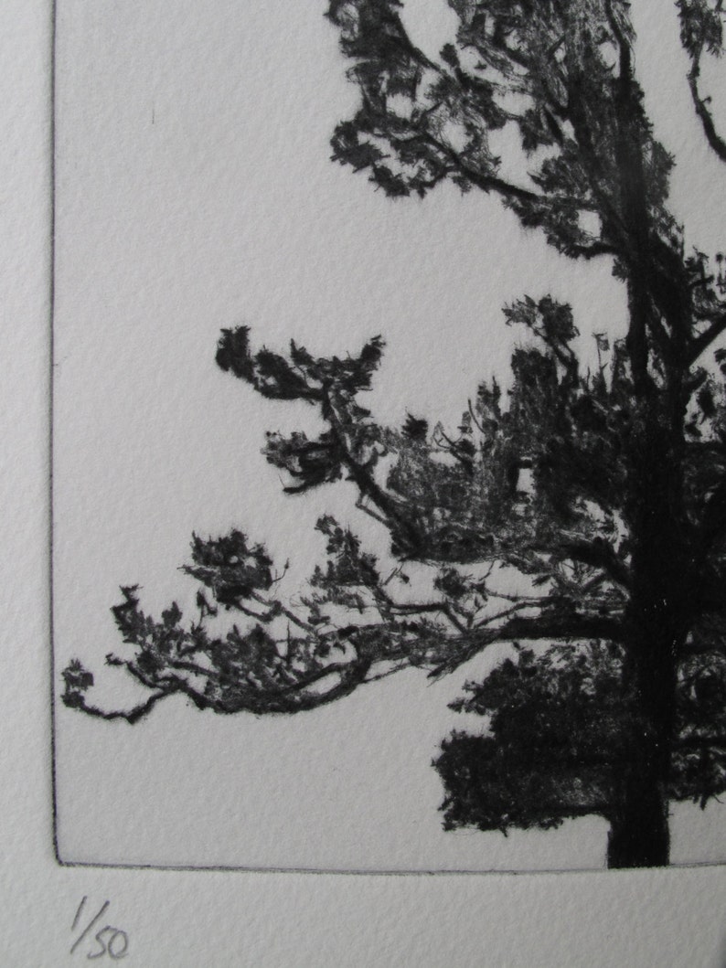 Oak Tree Print, A Drypoint Etching of a Silhoutted Oak Tree Etsy UK