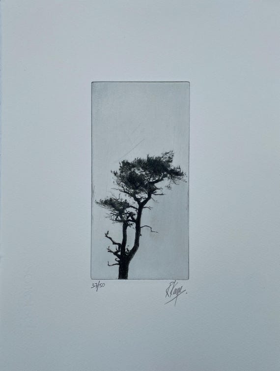 Tree 1 - Tree Etching - Tree Silhouette - Tree Print - Japanese Tree