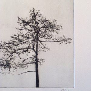 Tree Silhouette, A drypoint etching of a tree image 3