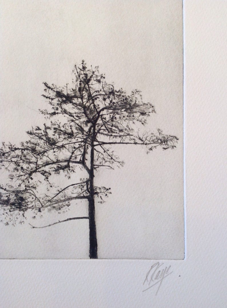 Tree Silhouette, A drypoint etching of a tree image 3