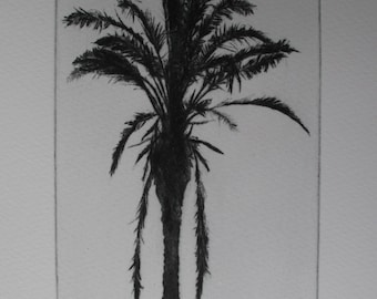 Palm Tree print. Drypoint etching