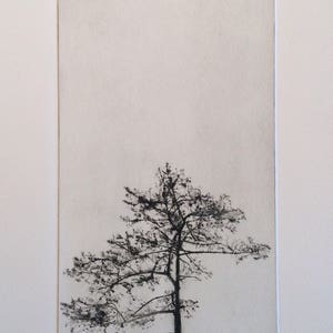 Tree Silhouette, A drypoint etching of a tree image 1