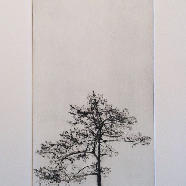 Silhouette d'arbre, gravure à la pointe sèche d'un arbre
