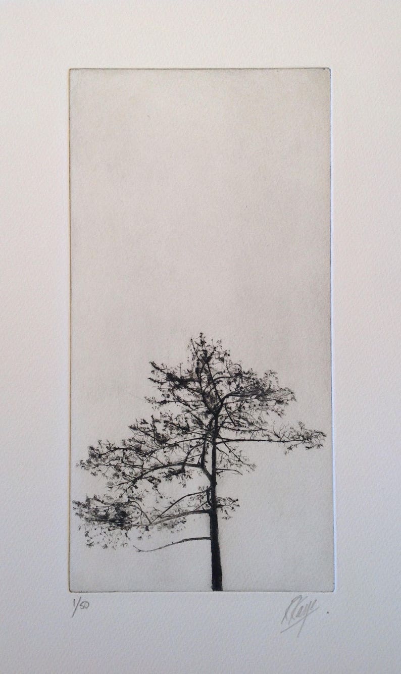 Tree Silhouette, A drypoint etching of a tree image 1